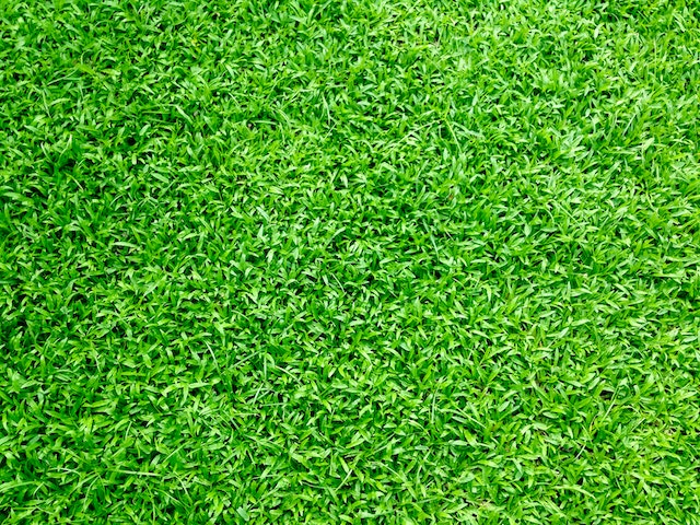 Le Jardin - Un Refuge de Beauté et de Sérénité